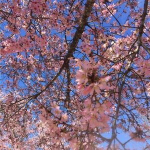 Meet your Posher, Helen